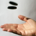 Rattlesnake Eggs